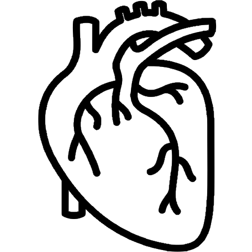 Cardiology